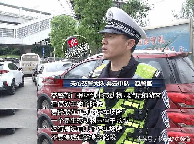 动物园门口“帽子哥”：给我20随便停，保证不抄牌！什么来路？