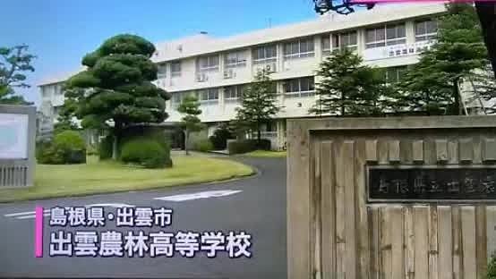 亲手杀掉并吃下自己养大的小鸡，日本学生们的一堂生命课程，引起了巨大争议... - 1