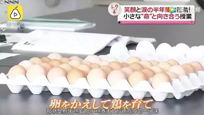 亲手杀掉并吃下自己养大的小鸡，日本学生们的一堂生命课程，引起了巨大争议... - 3