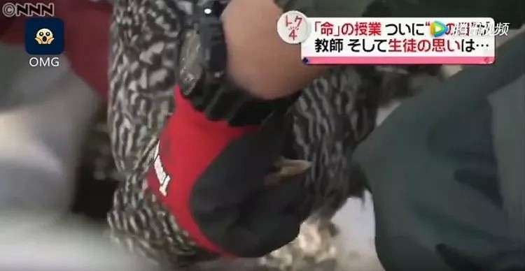 亲手杀掉并吃下自己养大的小鸡，日本学生们的一堂生命课程，引起了巨大争议... - 19