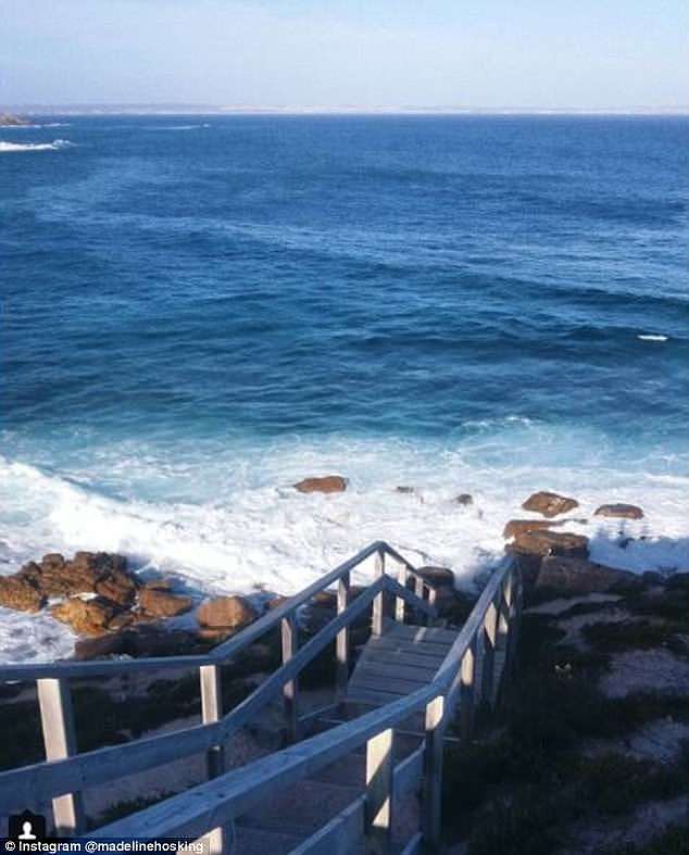The grisly discovery was found spread along a kilometre at Fishery Bay (pictured), a popular surfing and swimming spot near Port Lincoln
