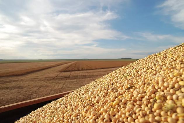 东北多省市紧急通知扩大大豆种植面积，有哪些用意？