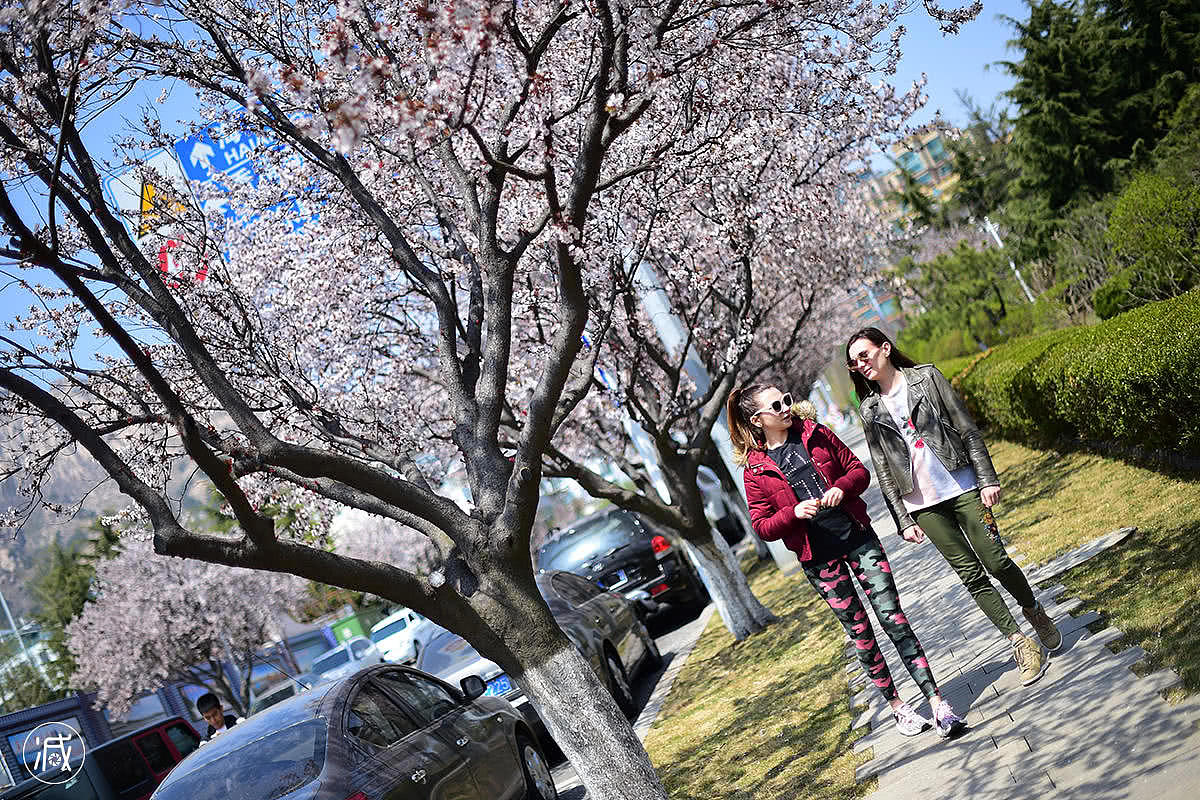 为了中国梦 乌克兰美女学霸哭着上手术台隆胸(组图） - 3