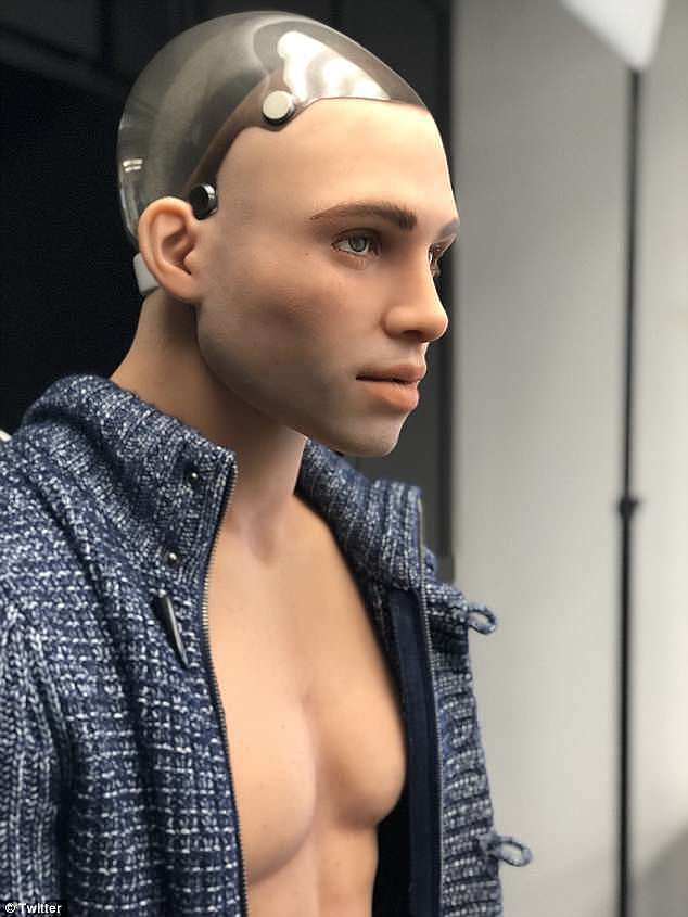 In addition to Harmony - the blonde, buxom pseudo-woman  - developers have also created a male sex robot by the name of Henry