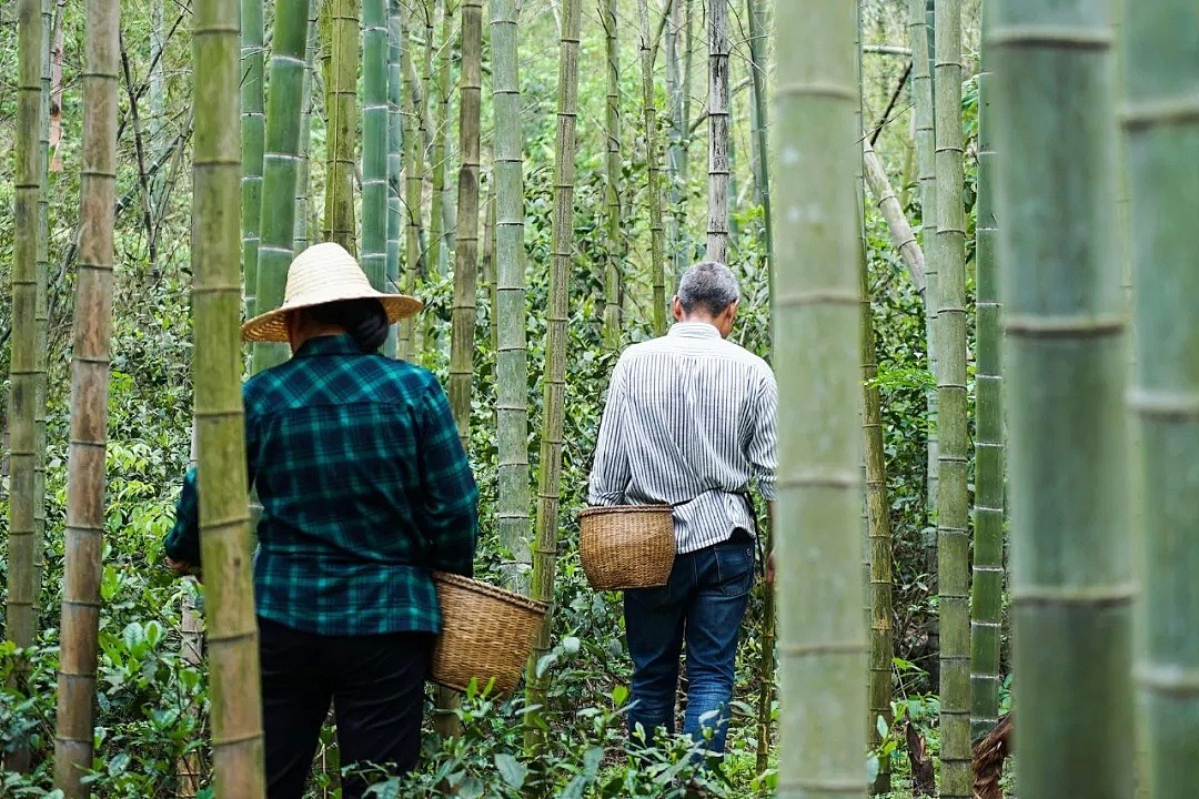 一个杭州老农，跟巴菲特的儿子做朋友，还年入百万（组图/视频） - 6