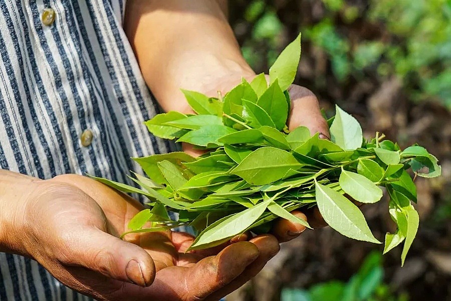 一个杭州老农，跟巴菲特的儿子做朋友，还年入百万（组图/视频） - 12