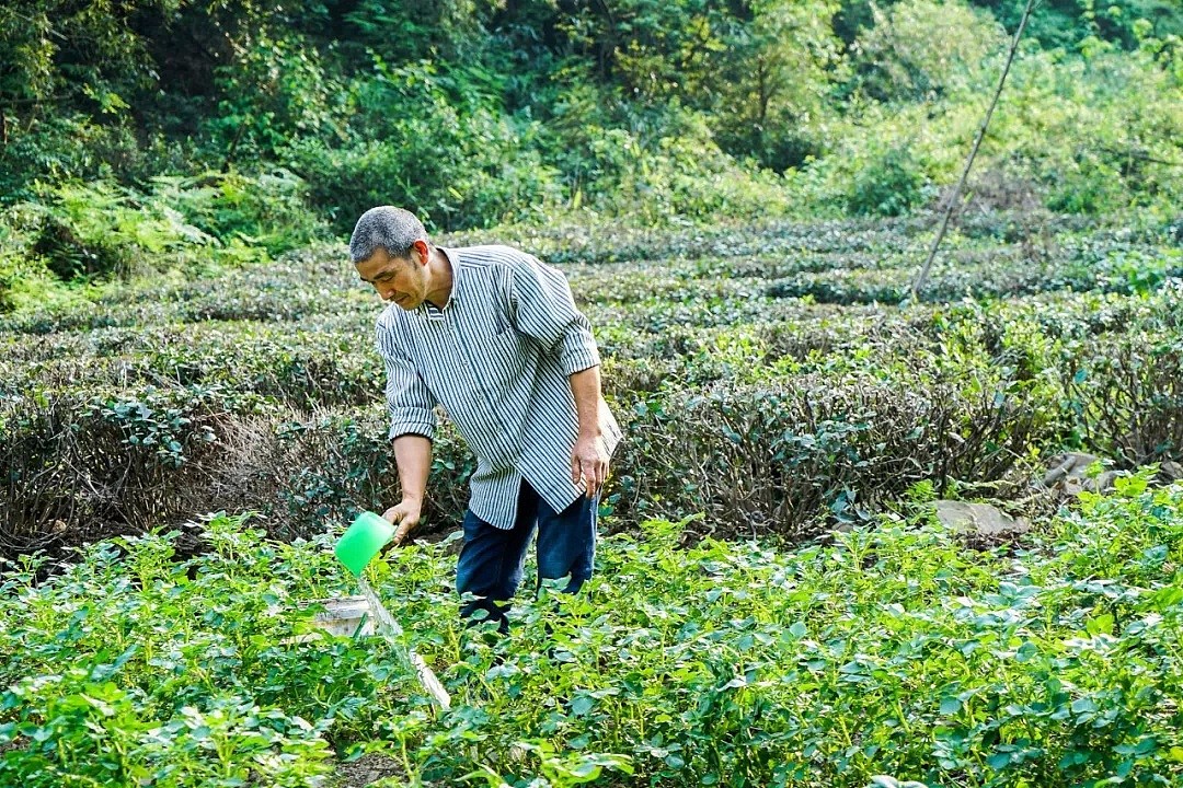 一个杭州老农，跟巴菲特的儿子做朋友，还年入百万（组图/视频） - 22