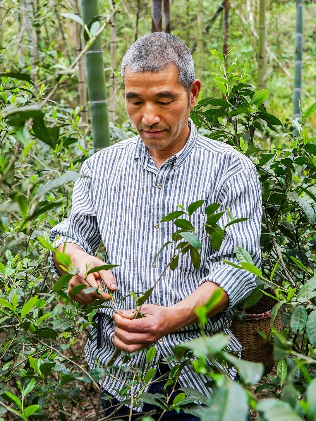 一个杭州老农，跟巴菲特的儿子做朋友，还年入百万（组图/视频） - 23