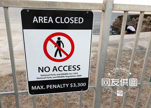 注意！仍有华人违禁攀爬悉尼蛋糕岩！裂缝已触目惊心，悲剧或随时发生！（组图） - 2