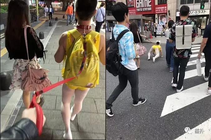 什么操作？日本街头惊现美女遛大叔，曾被警察约谈多次不悔改！ - 2