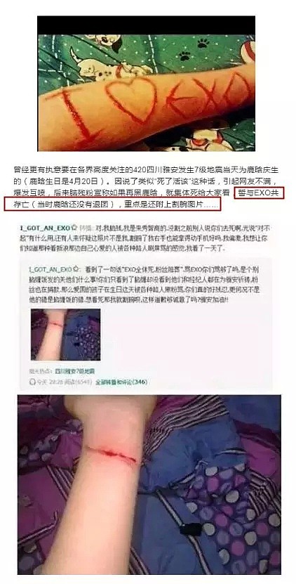 萧敬腾被泼粪，刘亦菲被生扑，王力宏被袭击…疯狂粉丝到底是一群什么生物？ - 24