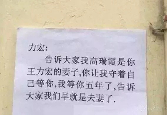 萧敬腾被泼粪，刘亦菲被生扑，王力宏被袭击…疯狂粉丝到底是一群什么生物？ - 34