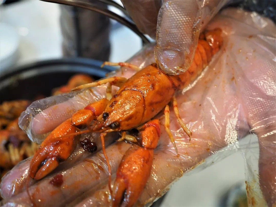 制霸悉尼的“鲍蟹盛宴”又来了，“蟹神”这个称号我还是极服气的！在这里，吃干抹净，才是对厨师们最大的尊重！ - 98