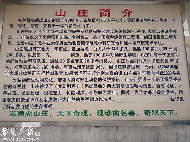 吓人！桂林发生老虎咬死人事件，被咬者是一名50多岁的男饲养员