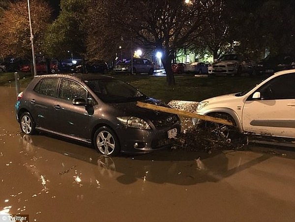 洪水爆发，汽车在水中漂移！霍巴特CBD已关闭！墨尔本遭大雨袭击！恶劣天气正朝新州移动！（视频+组图） - 5