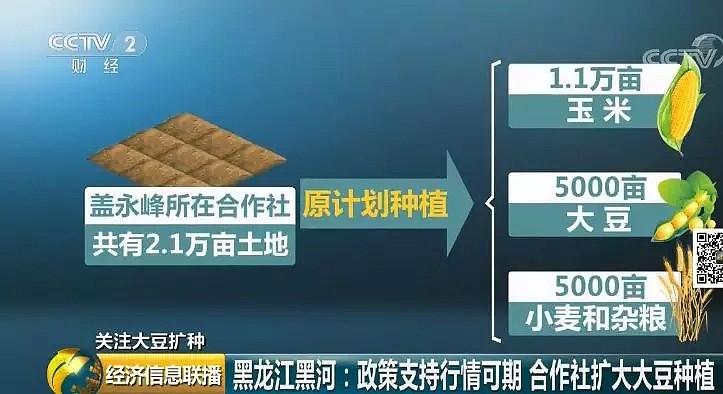 补贴350元/亩，东北出大招扩种大豆，背后有啥深意？ - 7