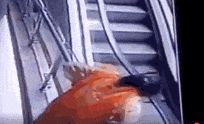 悲剧！夫妻单手抱孩子扶梯上玩自拍，孩子从3楼坠亡！（视频/组图） - 4