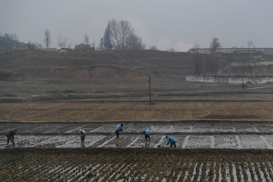 上月，朝鲜的农场里的工人。上周访问朝鲜的世界粮食计划署负责人大卫·比斯利说，这个贫穷国家的官员承诺将更加公开地与援助组织合作。
