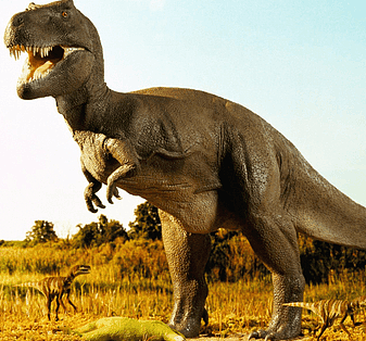 考古发现一只2亿年前的恐龙，被一颗子弹射杀？（图） - 1