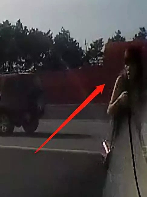 多伦多疑似中国女子从飞驰汽车跳下，整个加拿大都在猜她？（视频/组图） - 7