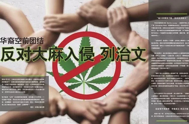 华裔男子吸大麻后驾车致3死5伤，加拿大还在加速推进大麻合法化（组图） - 12