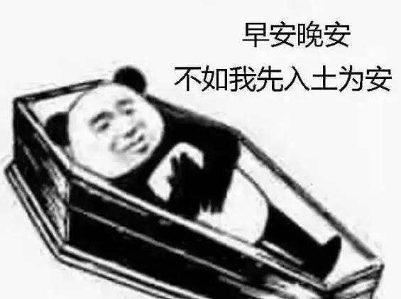 来自广东的古老东方诅咒：due！due！due！悉尼各大学校现在全是这几种人！？ - 19