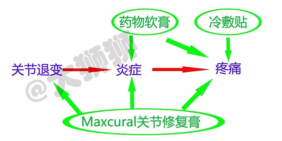 扒皮 【关节止痛膏】的“秘密”成分， 90%对关节炎并无卵用！ - 31