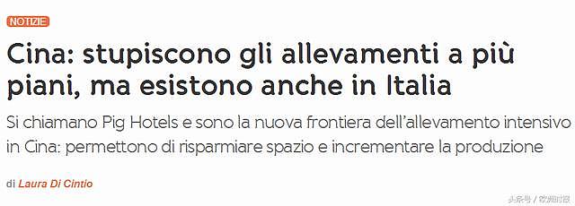 中国建13层“养猪大厦”，意大利“戏精”网民“炸了锅”