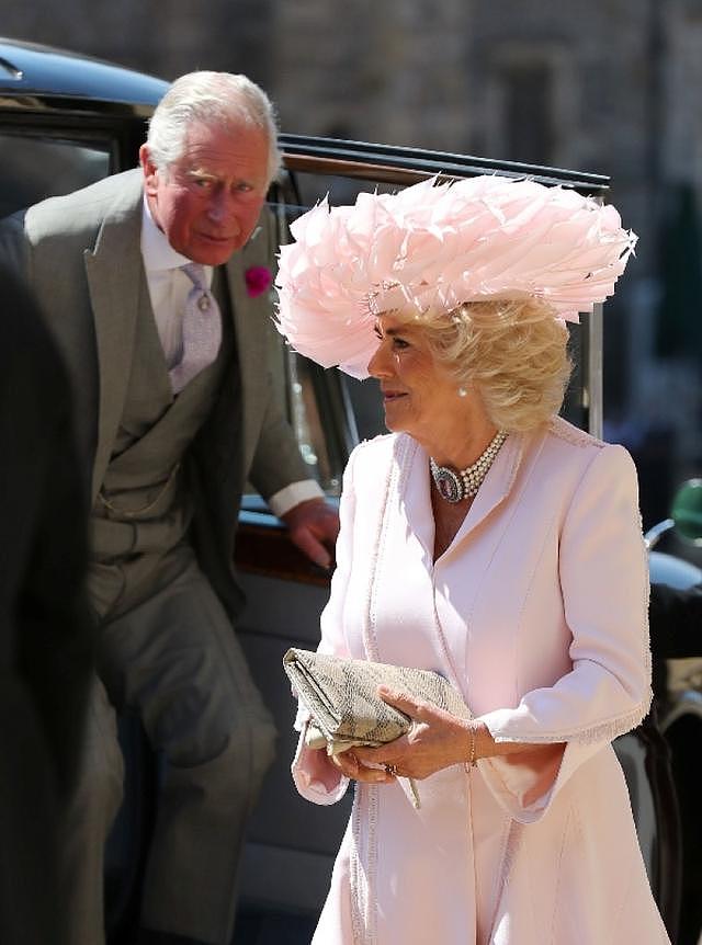 英国王室婚礼宾客为抢镜拼命，卡米拉鸡窝头搏版面戴安娜侄女美晕