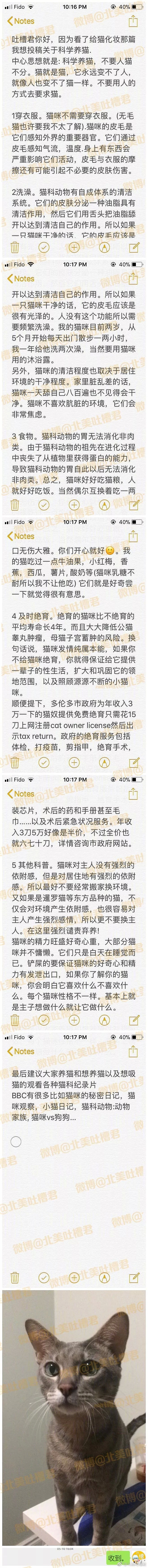 原来我们都错了，这才是撸猫正确的打开方式！ - 1