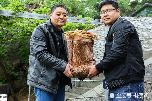 中国农民捡“胶状物”养蛤蟆 结果竟是百万宝贝（组图） - 3
