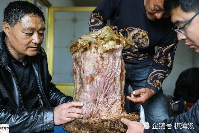 中国农民捡“胶状物”养蛤蟆 结果竟是百万宝贝（组图） - 7