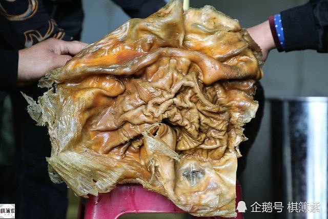 中国农民捡“胶状物”养蛤蟆 结果竟是百万宝贝（组图） - 9