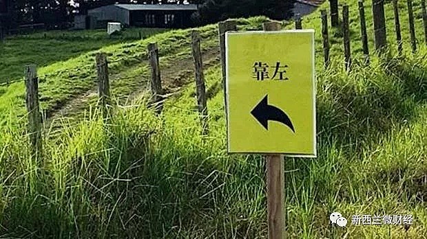 炸了！新西兰路边“靠左”提醒标识，好大俩中文字！（组图） - 21
