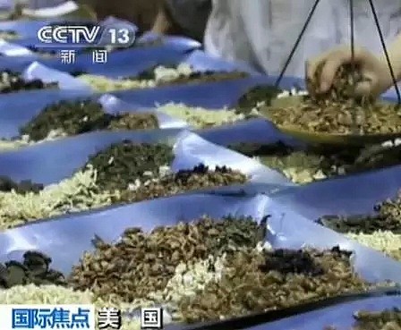 在中国很普通？中国男子带甘草片在美国海关被抓，立即遣返5年禁入！（组图） - 5