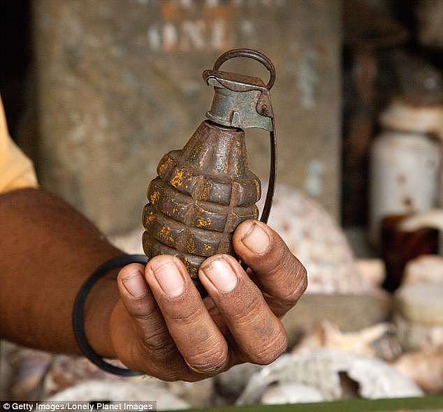 The man threw the grenade, an M52 from the former Yugoslavia,  at a Yuonga Court home in Lalor, 18km north of Melbourne's centre, on November 19 last year (stock grenade pictured) 
