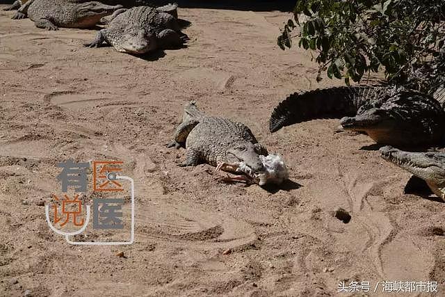 福建男护士深受非洲妹子欢迎，黑人依哥不乐意了……