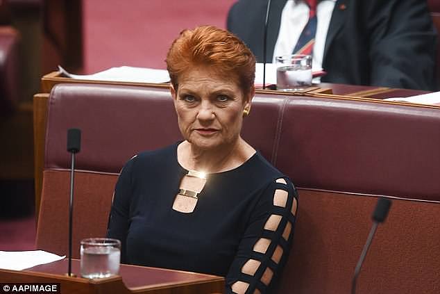 One Nation leader Pauline Hanson (pictured) has slammed Lucy Turnbull for saying Sydney is far from full