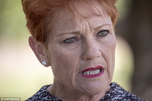 Ms Hanson (pictured), who sensationally withdrew her support for the government's corporate tax plan earlier this week, said people are 'screaming' for immigration to be halted