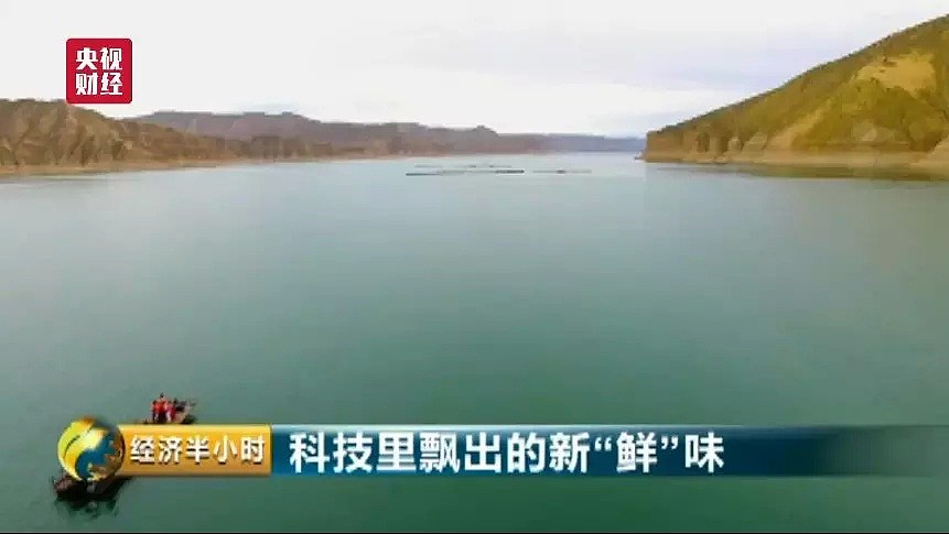 万万没想到！中国最大的三文鱼养殖场竟然在青藏高原（组图） - 1
