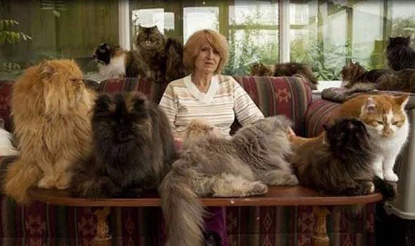 当年因为妻子养了10只猫而离婚，几十年后妻子养了40只猫，这对夫妻却复婚了（组图） - 4
