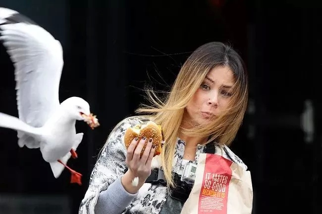 Повсеместное явление