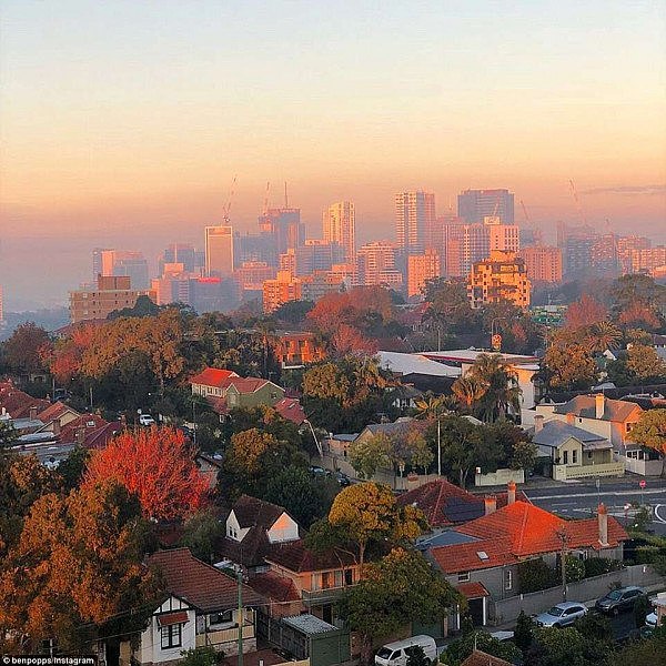 浓雾夹杂烟雾，悉尼今晨变诡异仙境！PM2.5爆表两天！将逐渐转好！（组图） - 2