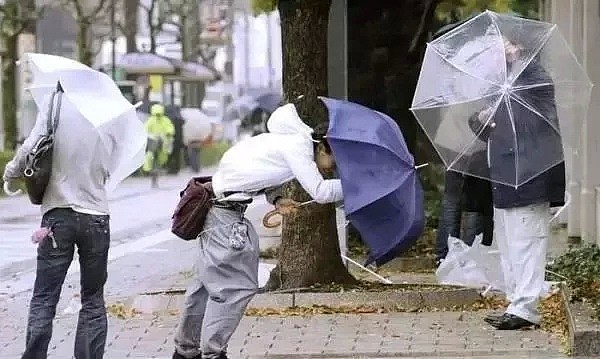 注意！大悉尼范围将低至-1℃！今晚起100km/h狂风暴雨，连续两天0度以下！起床困难症即将发作...（组图） - 39