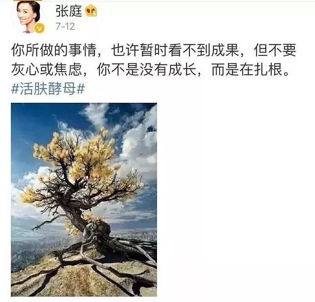 被爆插足上位，卖烂脸面膜…48岁的她依然冻龄，路人缘却作没了！（组图） - 45