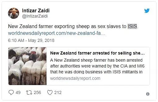 辣眼睛！秘密运送2万只绵羊给ISIS当性奴？新西兰农民莫名其妙上了头条（组图） - 2