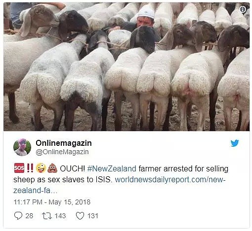辣眼睛！秘密运送2万只绵羊给ISIS当性奴？新西兰农民莫名其妙上了头条（组图） - 3