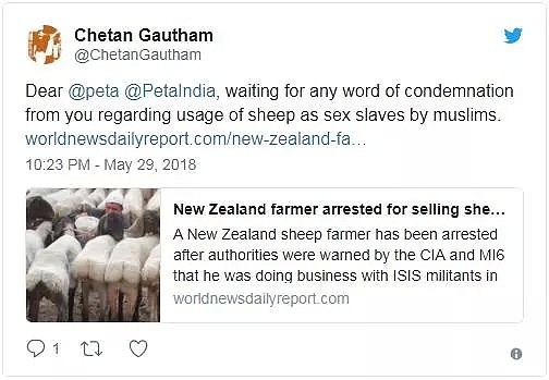 辣眼睛！秘密运送2万只绵羊给ISIS当性奴？新西兰农民莫名其妙上了头条（组图） - 5