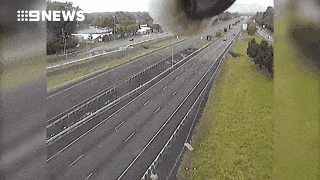 视频疯传6000+次！澳洲这个道路摄像头厉害了！不仅能查超速，还能拍“真鸟秀”...（视频） - 5