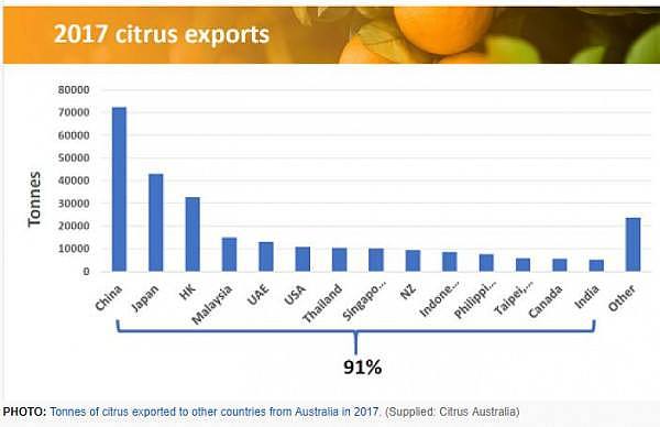 “它就像印钞机一样赚钱”！澳洲这种水果大量出口中国，澳农户赚钱赚到手软（组图） - 3
